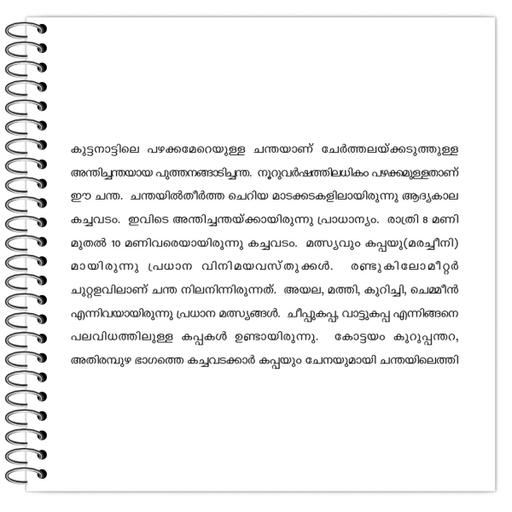 Picture of the product