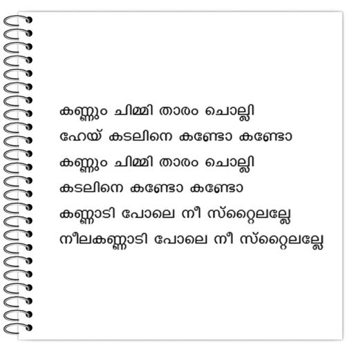 Picture of the product