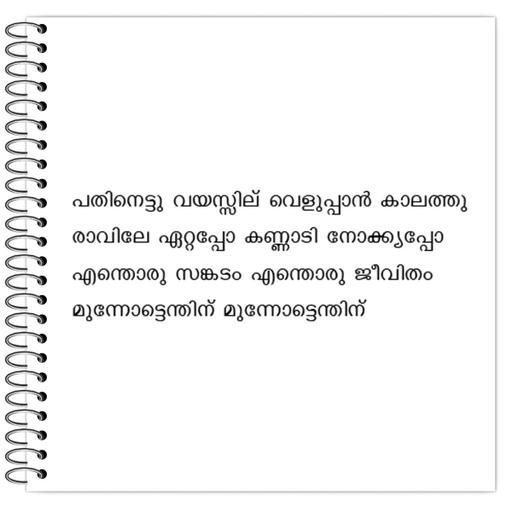 Picture of the product