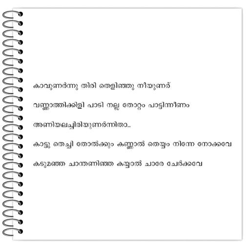 Picture of the product