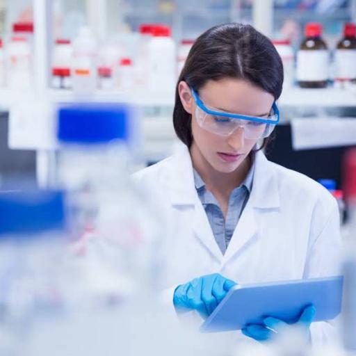 Picture of the product