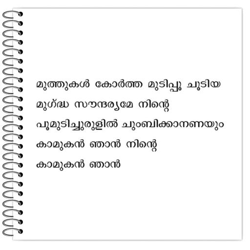 Picture of the product