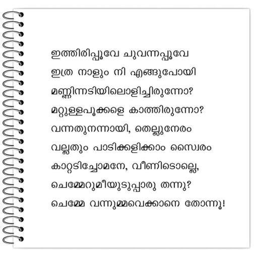 Picture of the product