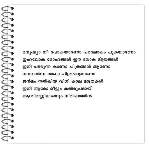 Picture of the product