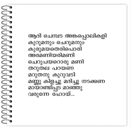 Picture of the product