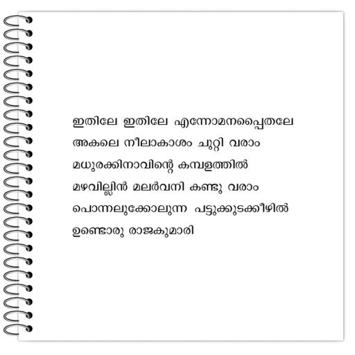 Picture of the product