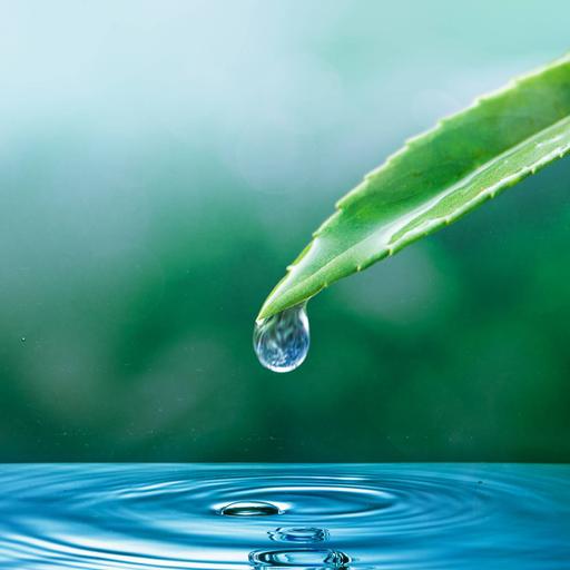 Picture of the product