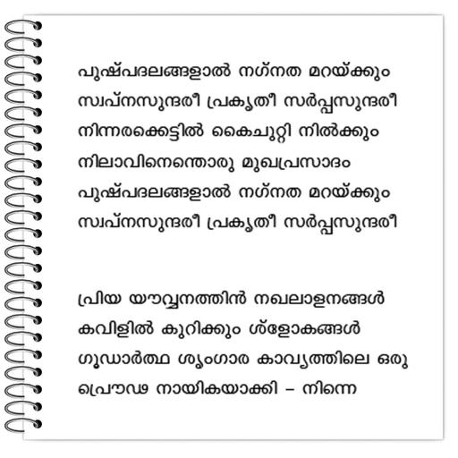 Picture of the product