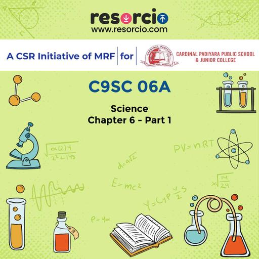 Picture of the product