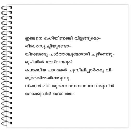 Picture of the product