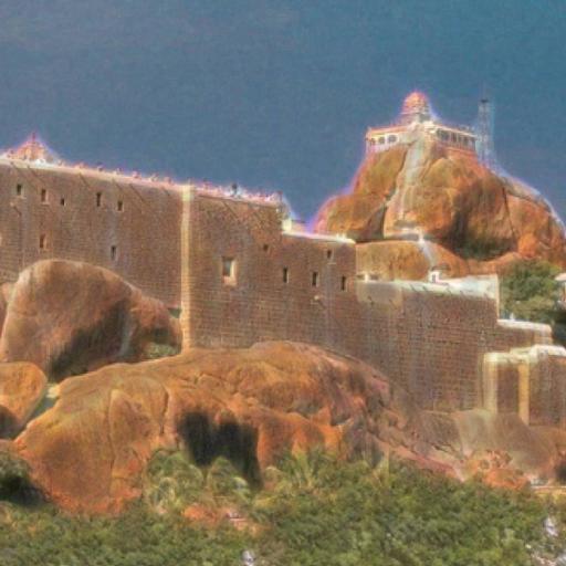 Picture of the product