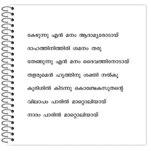 Picture of the product