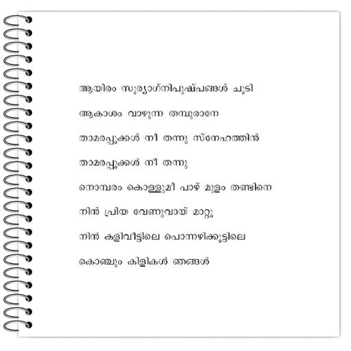 Picture of the product