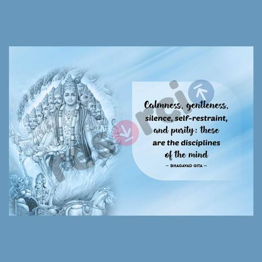 Picture of the product