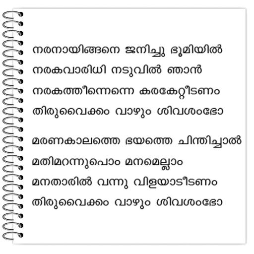 Picture of the product