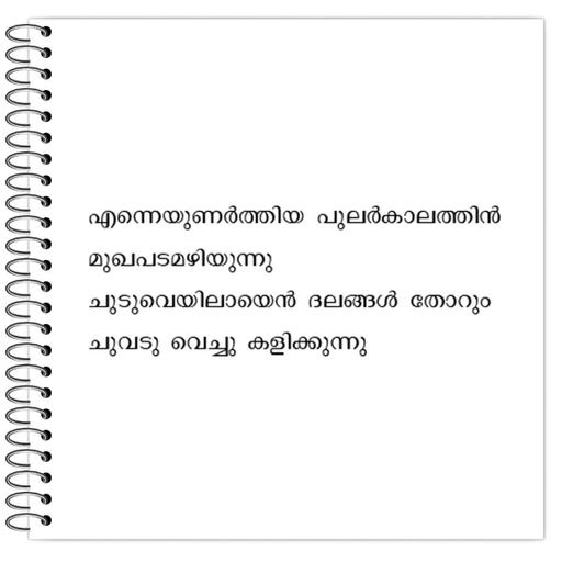 Picture of the product