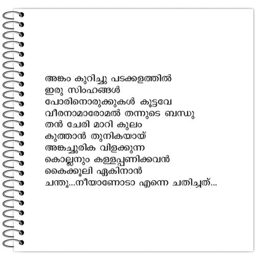 Picture of the product