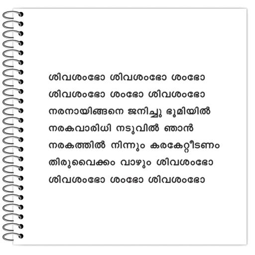 Picture of the product