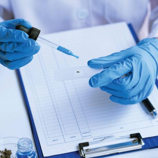 Picture of the product