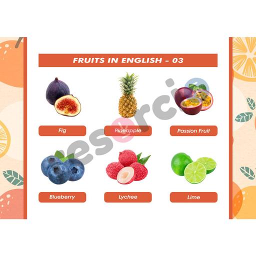 Picture of the product