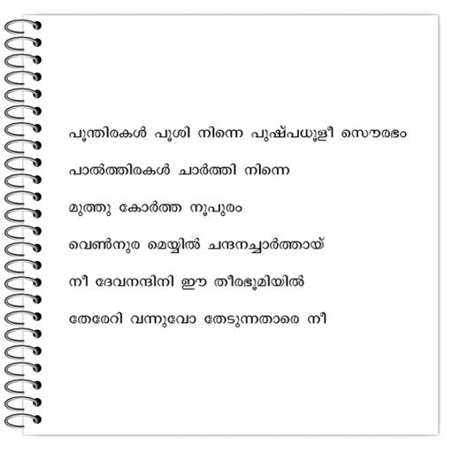 Picture of the product