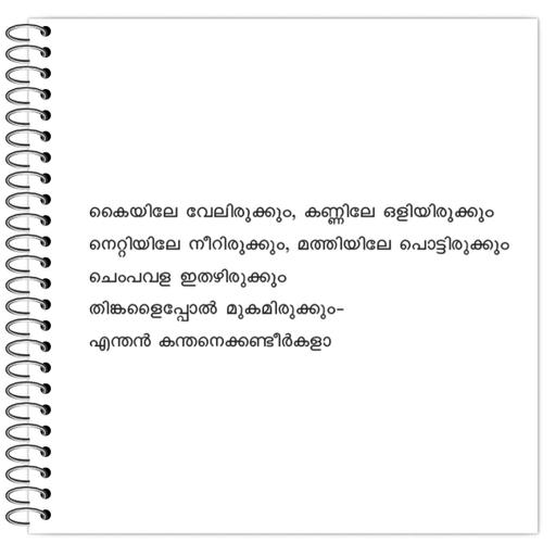 Picture of the product