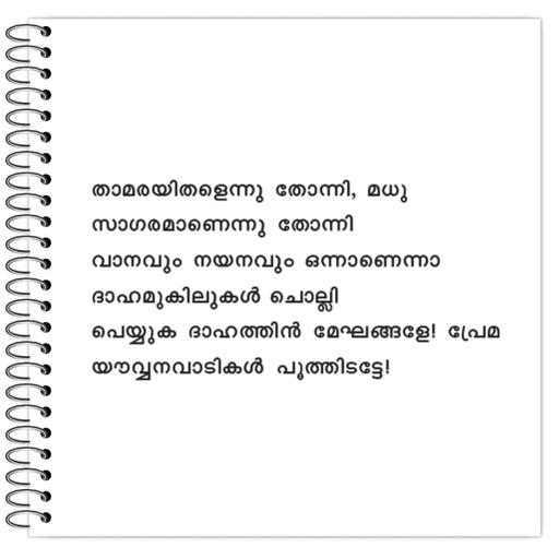 Picture of the product