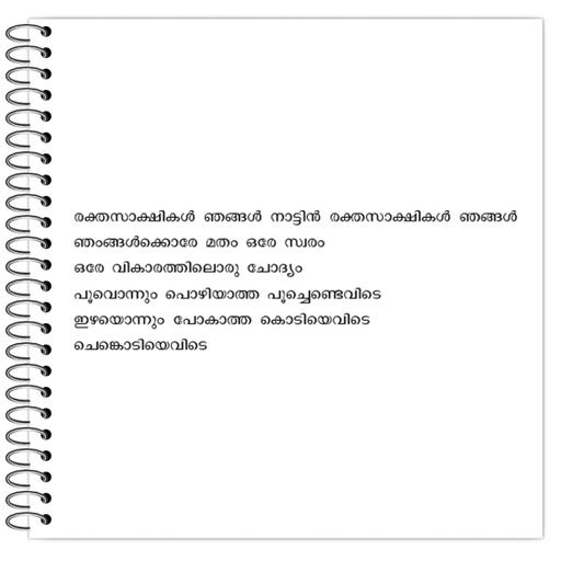 Picture of the product