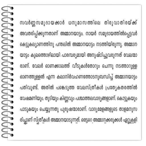 Picture of the product