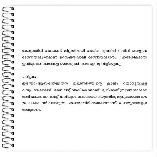 Picture of the product