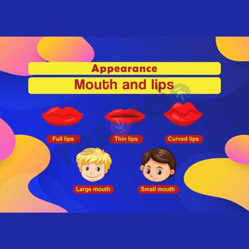 Picture of the product