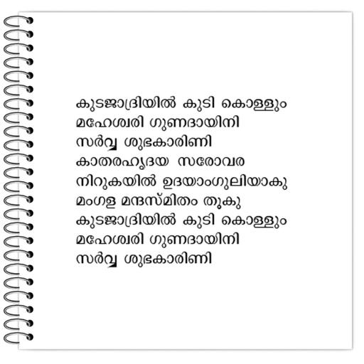 Picture of the product