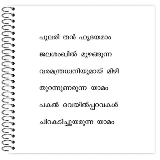 Picture of the product