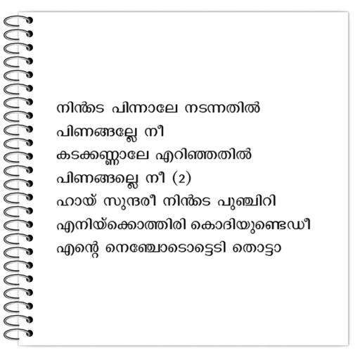 Picture of the product