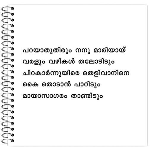 Picture of the product