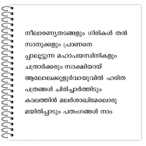 Picture of the product