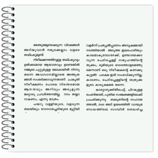 Picture of the product