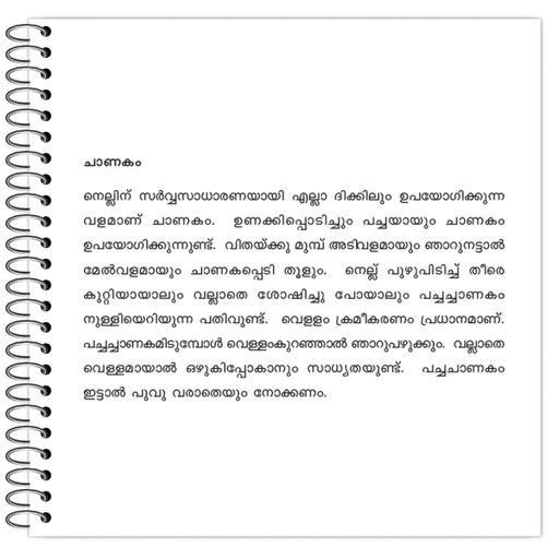 Picture of the product