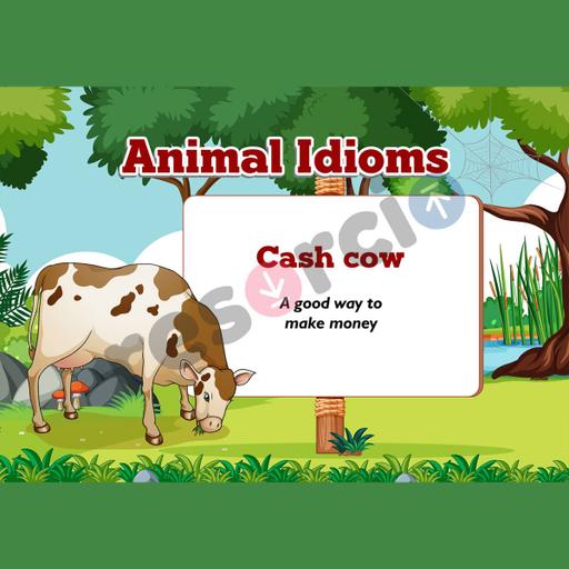 Picture of the product