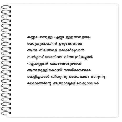 Picture of the product