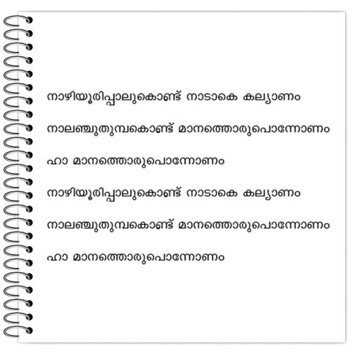 Picture of the product