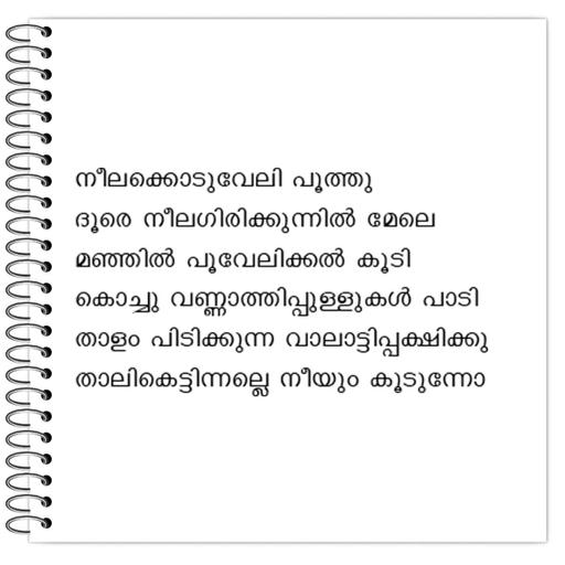 Picture of the product