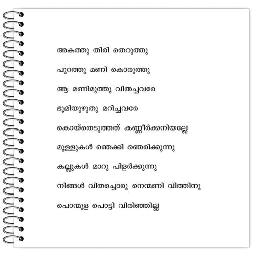 Picture of the product