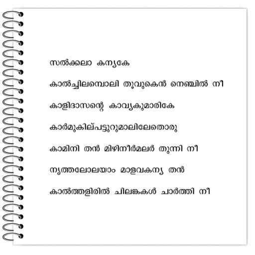 Picture of the product