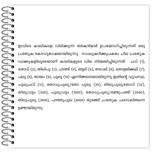 Picture of the product