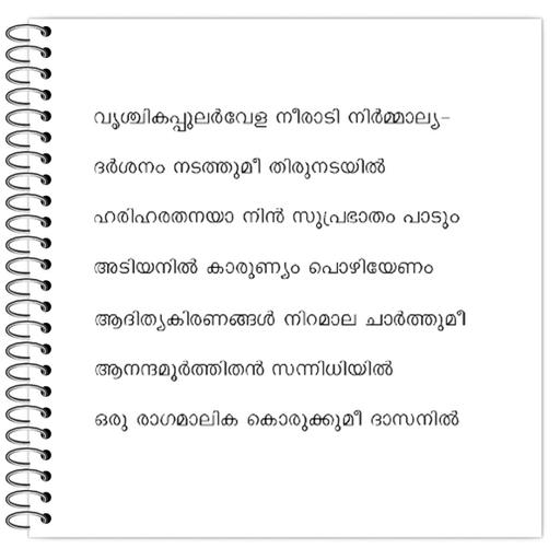 Picture of the product