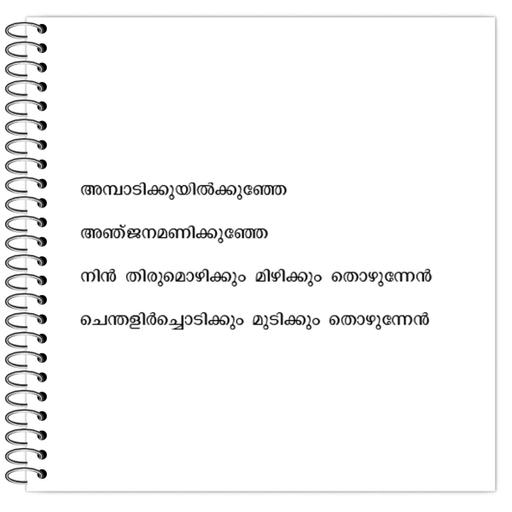 Picture of the product