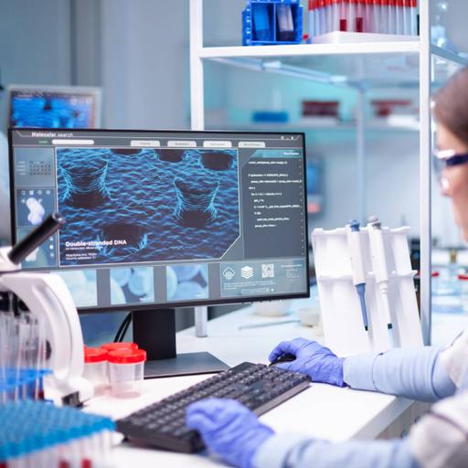 Picture of the product