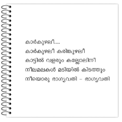 Picture of the product