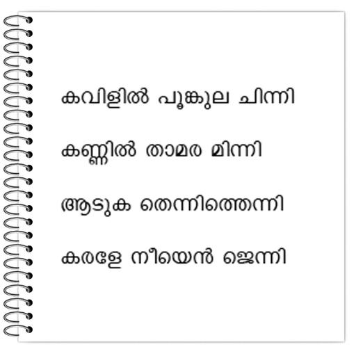 Picture of the product